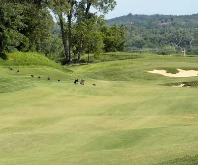 Wild turkeys on a rolling fairway near sand bunkers and wooded bluffs at Quarry Oaks Golf Club in Ashland, Nebraska
