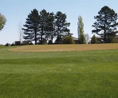 Dormant spring green framed by tall pines and nearby homes at Poco Creek Golf Course in Aurora, Nebraska