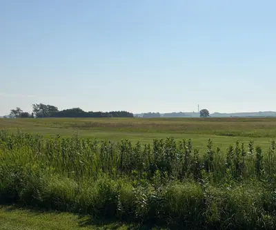 Native plants and tall grasses in front of an open fairway under a hazy sky at Dannebrog Country Club in Dannebrog, Nebraska