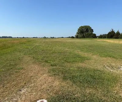 Open fairway of patchy dry grass running to a shade tree and evergreens at Dannebrog Country Club in Dannebrog, Nebraska