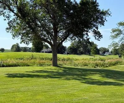 Large shade tree beside native grasses on a rolling fairway at Southern Hills Golf Club in Hastings, Nebraska