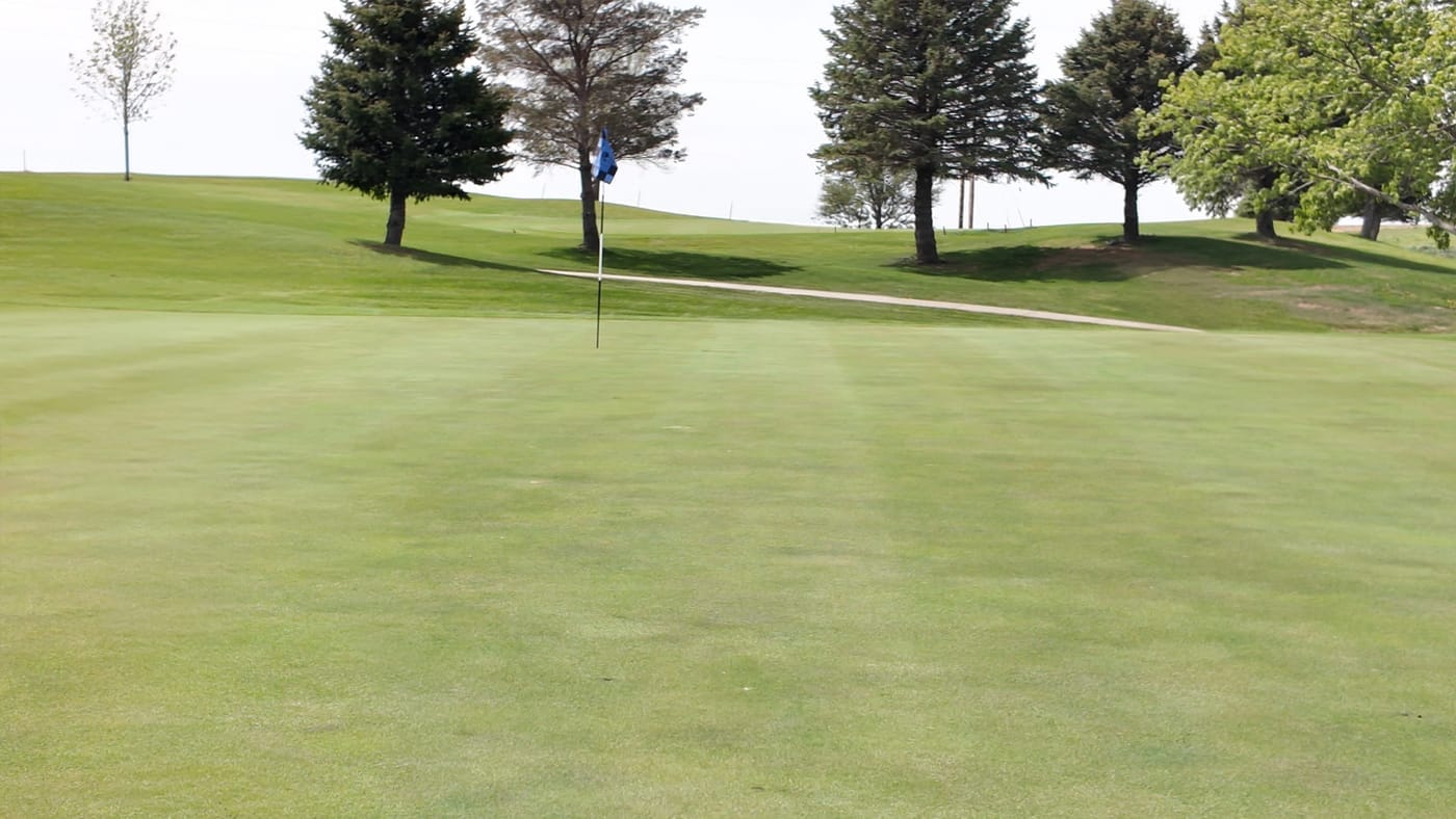 An evergreen framed green at Club 91 Golf Course in Leigh, Nebraska.