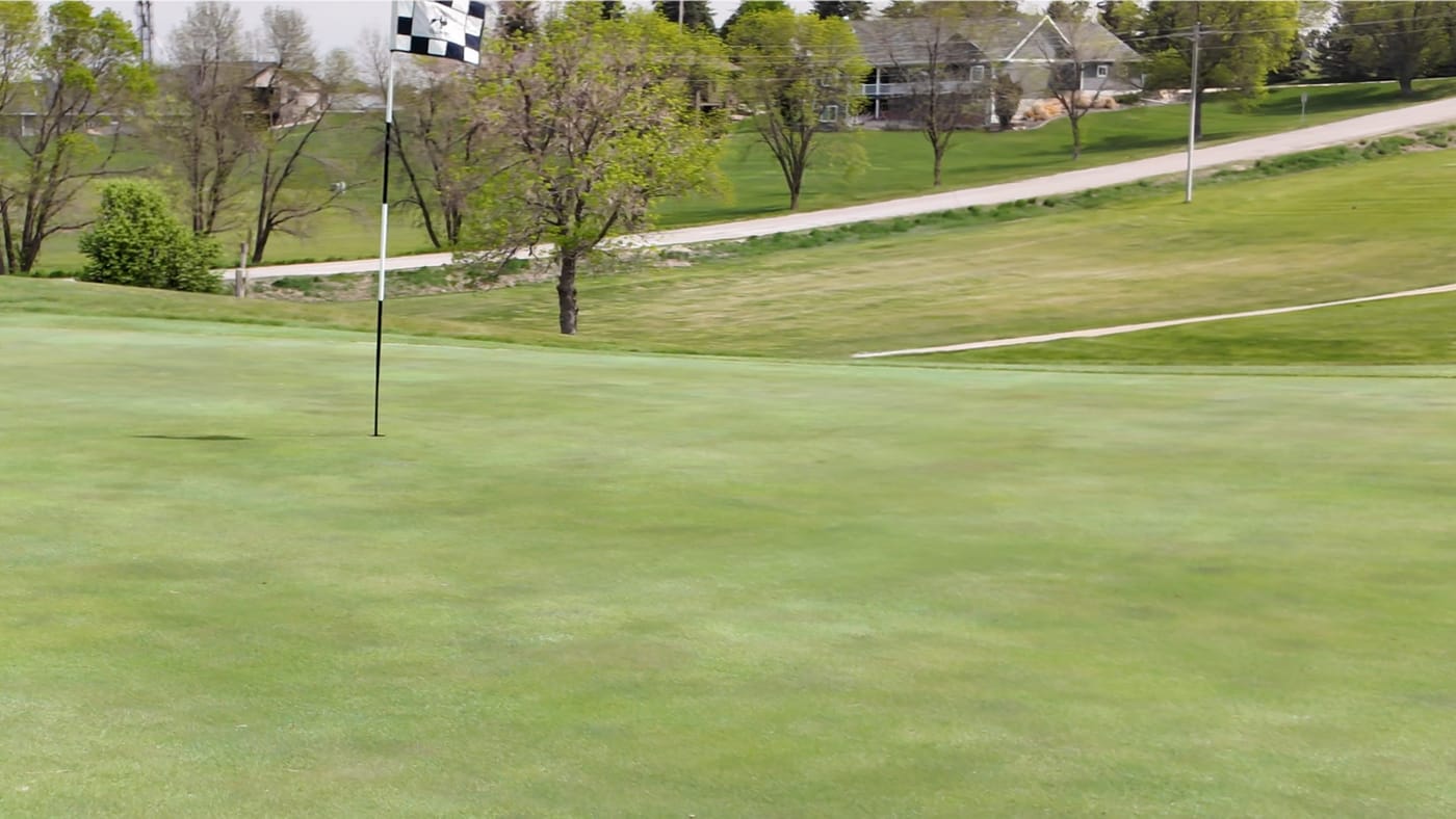 A green beside the road at Club 91 Golf Course in Leigh, Nebraska.