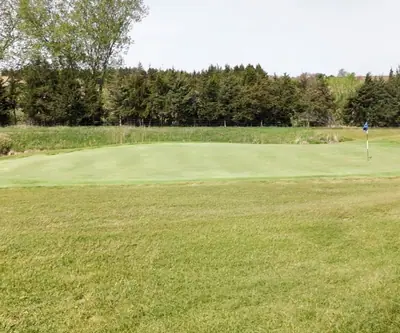 Putting green with a blue flag, a small pond, and a row of evergreens at Club 91 Golf Course in Leigh, Nebraska
