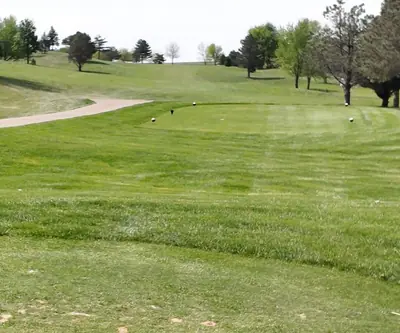 A green tucked into the trees at Club 91 Golf Course in Leigh, Nebraska.