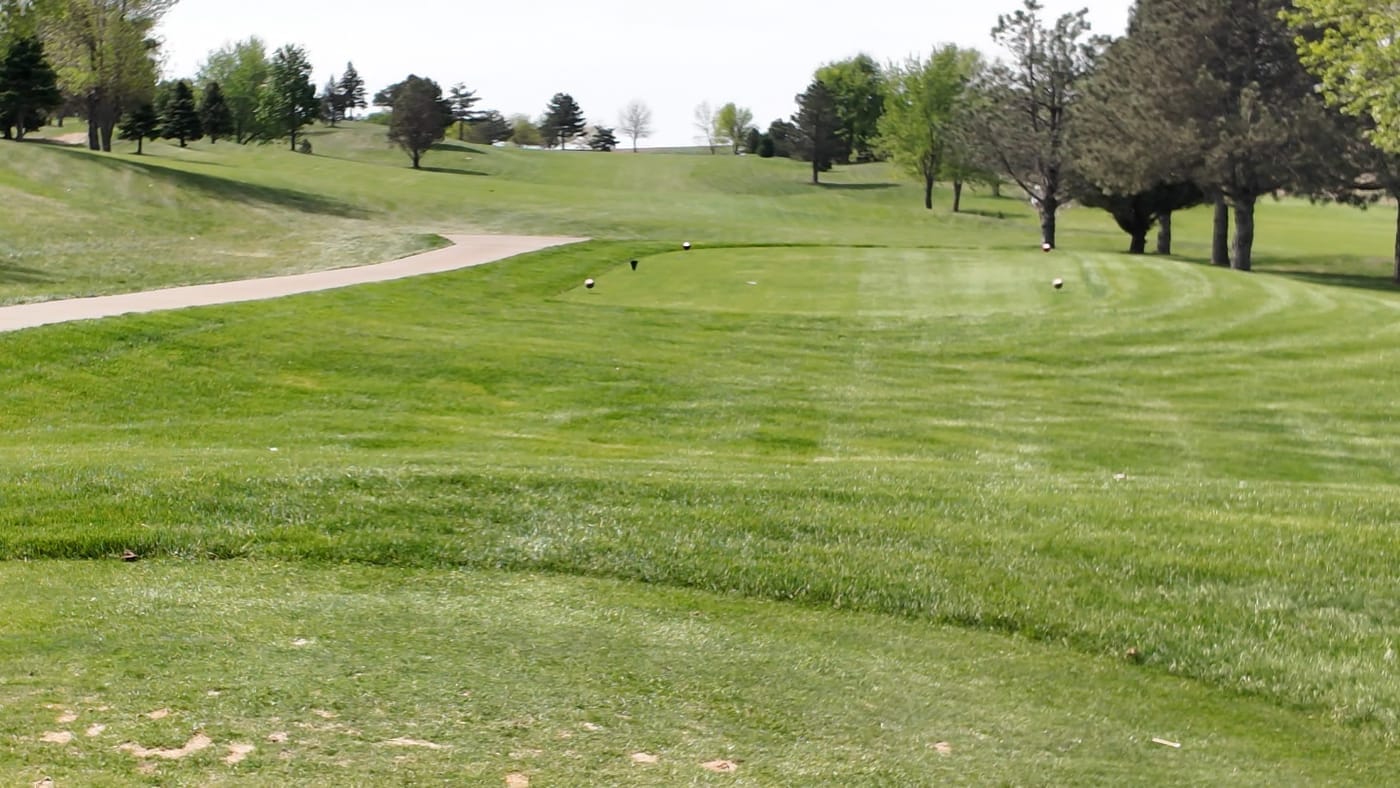 A green tucked into the trees at Club 91 Golf Course in Leigh, Nebraska.