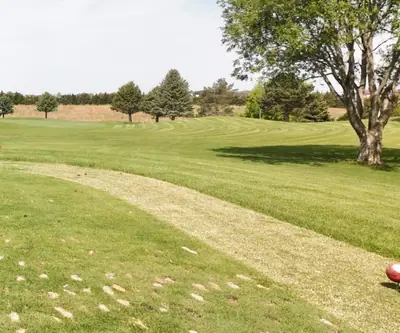 Red, white, and blue tee markers at Club 91 Golf Course, a par 36 nine in Leigh, Nebraska.