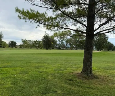 Pine tree framing a green with a yellow flag under cloudy skies at Loup City Golf Club in Loup City, Nebraska