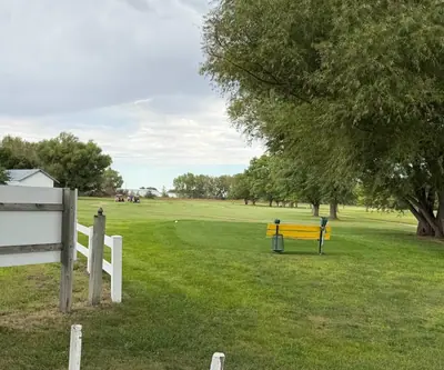 Tee box with a yellow bench and ball washer beside willow trees at Loup City Golf Club in Loup City, Nebraska