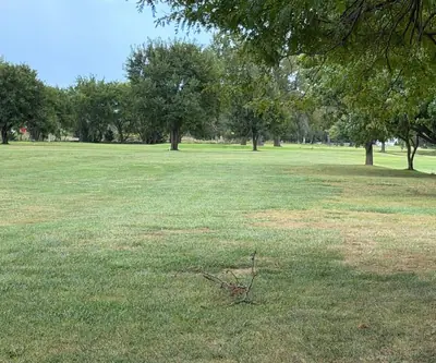 Tree-lined fairway with mowed grass and a fallen branch in the foreground at Loup City Golf Club in Loup City, Nebraska