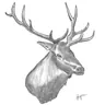 Elk Creek Country Club logo