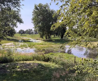 Shallow creek wetland winding through trees beside the fairways at Shell Creek Valley Golf Course in Newman Grove, Nebraska