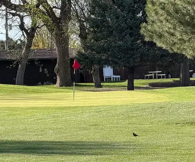 Hole 9 green at O'Neill Golf Club in O'Neill, Nebraska