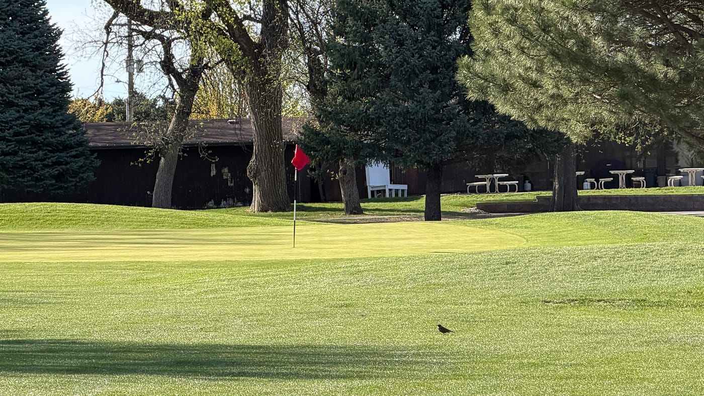 Hole 9 green at O'Neill Golf Club in O'Neill, Nebraska