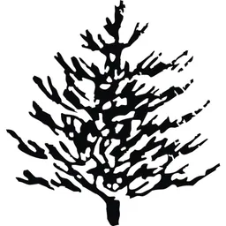 Scotts Bluff Country Club logo