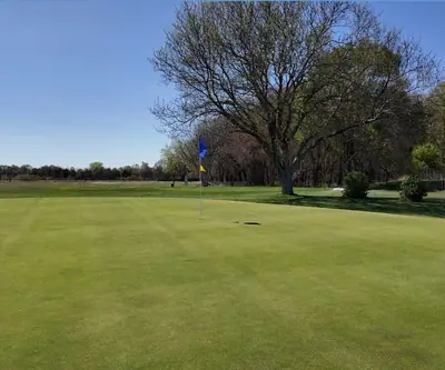Putting green with a blue flag beside a large shade tree at St. Paul Country Club in St. Paul, Nebraska