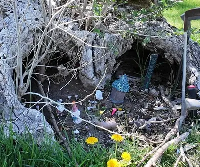 Hidden tree display at St. Paul Country Club