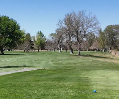 Hole 3 at St. Paul Country Club - the tree hole