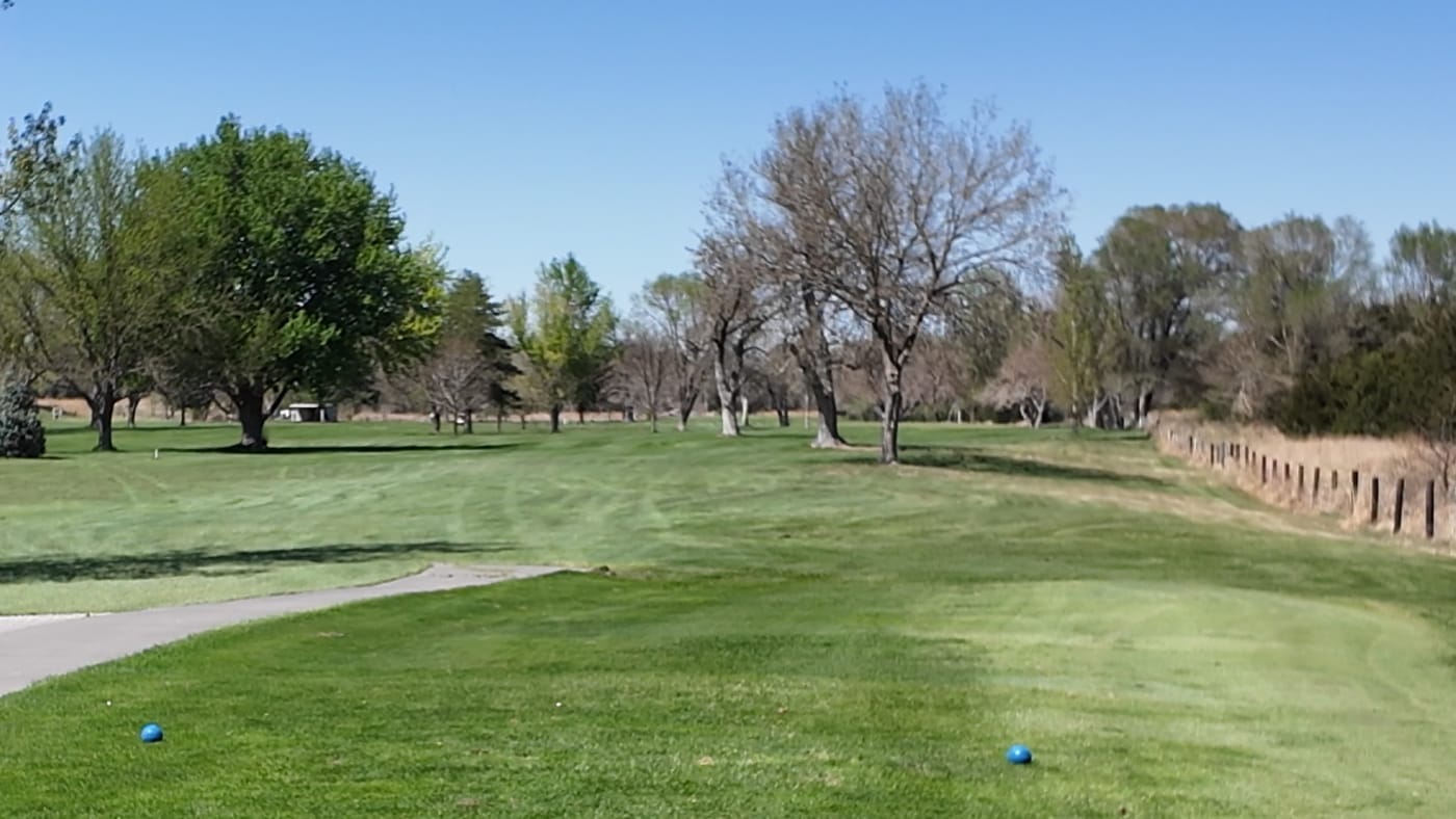 Hole 3 at St. Paul Country Club - the tree hole